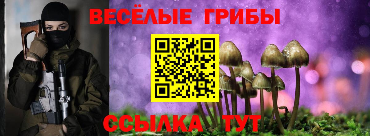 Псилоцибиновые грибы мухоморы Азов